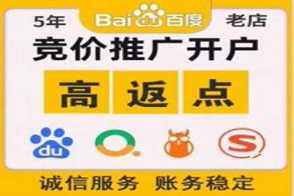 竞价广告实战：XX品牌如何通过竞价提升品牌影响力